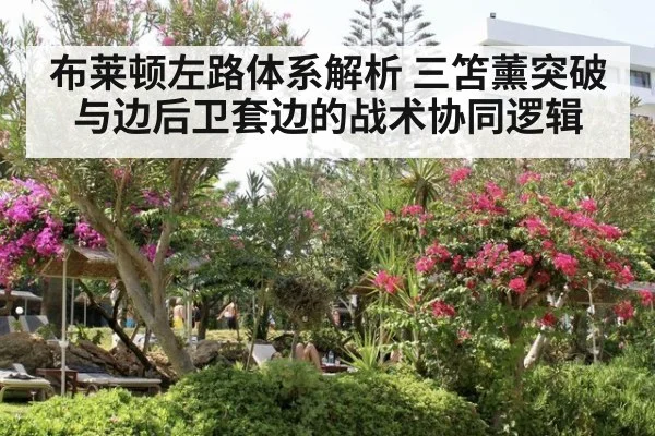 布莱顿左路体系解析 三笘薰突破与边后卫套边的战术协同逻辑